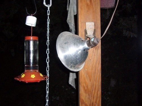 Heat lamp pointed at a hummingbird feeder to prevent frozen nectar.
