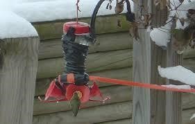 Hummingbird feeder wrapped in heat tape to thaw the nectar.