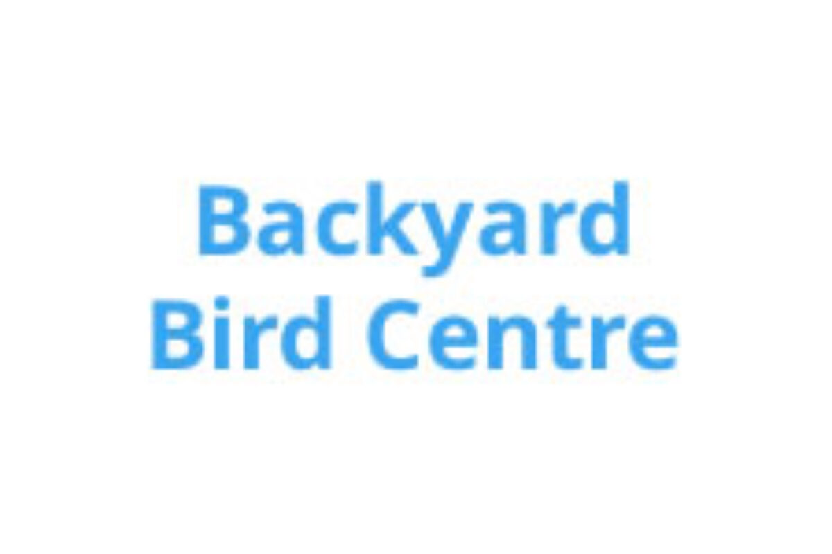 Backyard Bird Centre Find Hummer Hearth Online Retailers